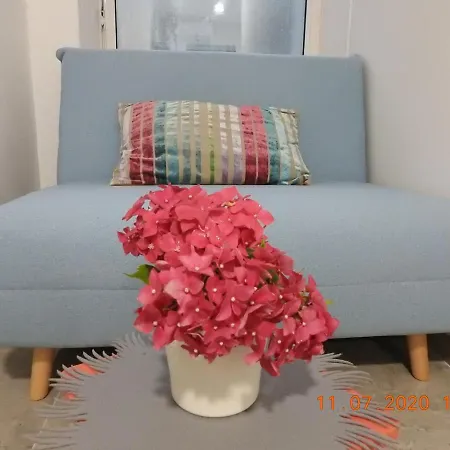 Apartman Apartma Ada